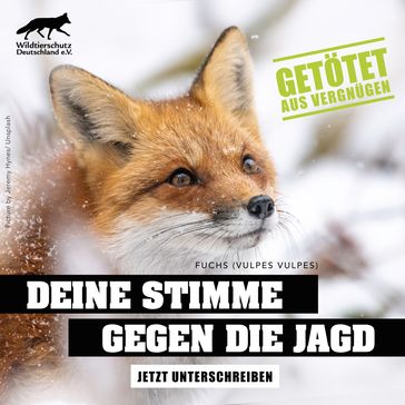 Bild: Wildtierschutz Deutschland e.V. Fotograf: Jeremy Hynes/Unsplash