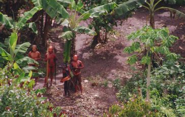 Diese Luftaufnahme von 2011 zeigt ein unkontaktiertes Amazonas-Volk in Brasilien nahe der peruanischen Grenze. Bild: © BBC/FUNAI/Survival