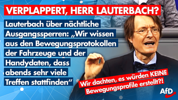 Bild: AfD Deutschland