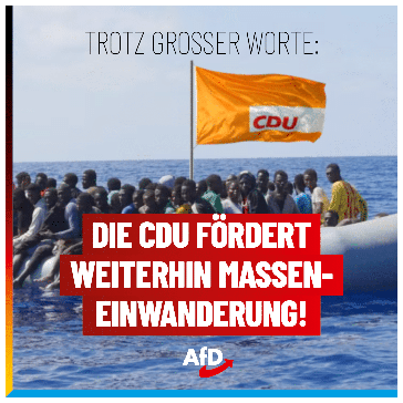 Bild: AfD Deutschland