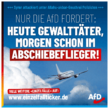 Bild: AfD Deutschland