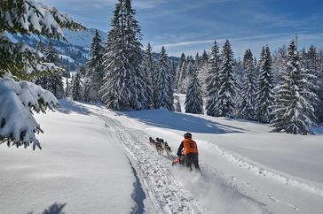 Bild: Bad Hindelang Tourismus/Wolfgang B. Kleiner