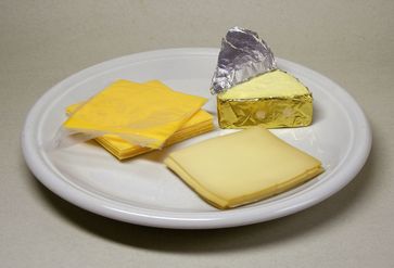 Verschiedene Sorten Schmelzkäse in Scheiben und als Streichkäse