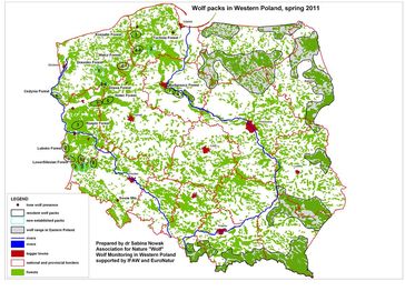 Grafik: IFAW - Internationaler Tierschutz-Fonds