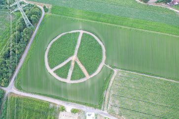 Ein Friedenszeichen stellt das Maislabyrinth unter anderem dar. Bild: Feuerwehr