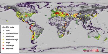 Der globale Risikoindex für Weinregionen
Quelle: Abbildung: James Daniell/KIT (idw)