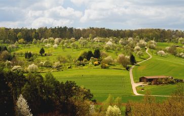 Streuobstwiese im Frühling mit blühenden Bäumen bei Tübingen