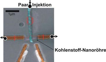 Die Versuchsanordnung im Rahmen der Experimente