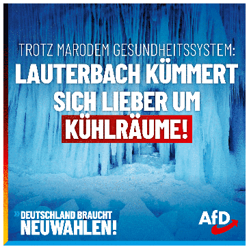 Bild: AfD Deutschland