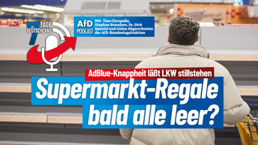 Bild: AfD Deutschland