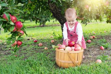 Bild: Bund deutscher Baumschulen (BdB) e.V. Fotograf: pixabay.de