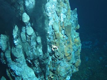 Ein "Schwarzer Raucher" am Mittelatlantischen Rücken. Rund um derartige Hydrothermalquellen finden sich wertvolle Metallerze.
Quelle: Foto: ROV KIEL 6000, GEOMAR (idw)