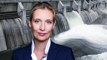 Dr. Alice Weidel (2020)