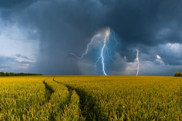 Bild: "obs/WetterOnline Meteorologische Dienstleistungen GmbH/WetterOnline / Shutterstock"