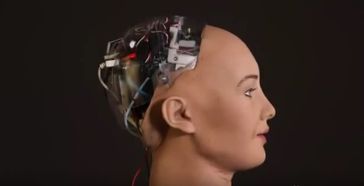 Bild: Screenshot Youtube Video "Hanson Robotics Unveils Female Humanoid Robot! "I Will Destroy Humans""