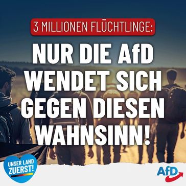 Bild: AfD Deutschland