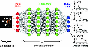 In einem ‚deep-learning’-Netzwerk, das lediglich auf die Zuordnung von Fotos trainiert wurde, bilden sich spontan künstliche Neuronen heraus, die auf verschiedene Lieblingszahlen abgestimmt sind. Bild: Andreas Nieder (idw)