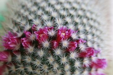 Bild: Cornelia Menichelli / pixelio.de