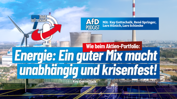 Bild: AfD Deutschland