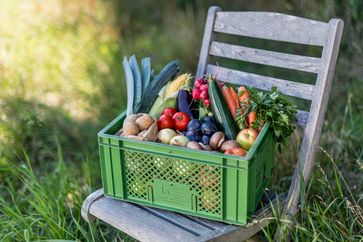 Gesund und nachhaltig: die Regiokiste der Ökokistenbetriebe