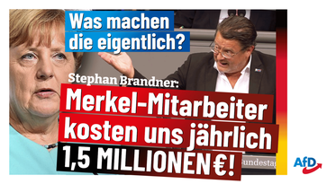 Bild: AfD Deutschland