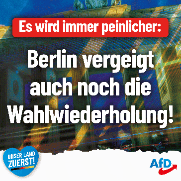 Bild: AfD Deutschland