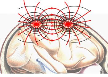 Der spezifische Widerstand der grauen Substanz ist frequenzunabhängig. Bild: Max-Planck-Institut für biologische Kybernetik, Tübingen