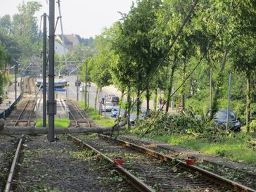 Sturmfront "Ela": Sturmschäden in Dortmund-Brechten