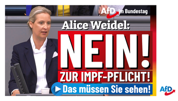 Bild: AfD Deutschland