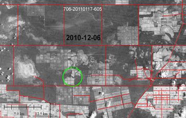 Illegale Abholzung (grüner Kreis), Dezember 2010. Ein Großteil des umliegenden Waldes wurde bereits abgeholzt. Bild: GAT/ Survival