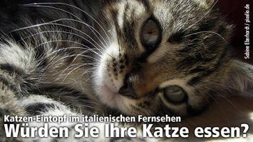 Bild: PETA Deutschland e. V. 