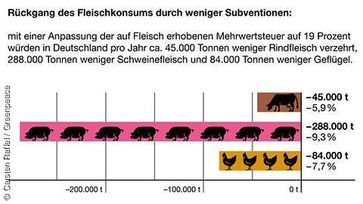 Bild:   Carsten Raffel / Greenpeace