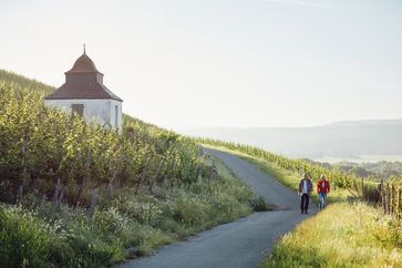 Die Weinberge sind eine tolle Kulisse für Wanderungen an der Nahe und bieten Panorama-Ausblicke über die Region.  Bild: Naheland-Touristik GmbH Fotograf: Peter Bender