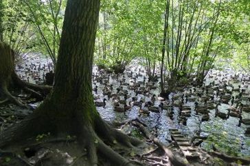 Für die Jagd ausgesetzte Zuchtenten auf einem Gewässer im Kreis Kleve (NRW). Bild: "obs/Komitee gegen den Vogelmord e. V."