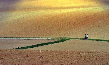 Agrarwüste in Deutschland: Alles dank "Agro-Landwirtschaft", was von Aggressiver Landwirtschaft kommt (Symbolbild)