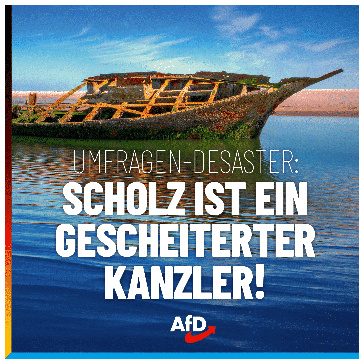 Bild: AfD Deutschland