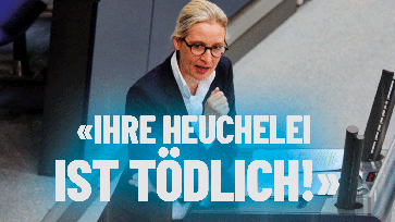 Bild: AfD Deutschland