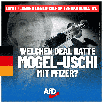 Bild: AfD Deutschland