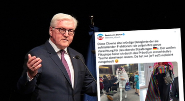 Bild: Steinmeier: Bodow, Wikimedia, CC BY-SA 4.0, Bild zugeschnitten; Screenshot Twitter; Montage: Wochenblick/Eigenes Werk