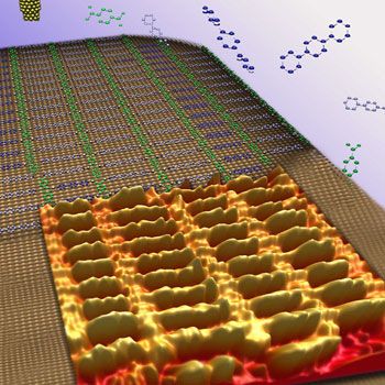 Schnappschuss der Evolution: Die mit modernster Tunnelmikroskopie erstellte Aufnahme zeigt die Selbstorganisation von nanometergroßen, molekularen Komponenten auf einer Kupferoberfläche - einmal als Simulation (im Hintergrund), einmal als experimentelles Abbild der Moleküle selbst (im Vordergrund). Deutlich erkennbar ist die größenabhängige Anordnung zweier Molekülarten (dunkel- und hellblau) in leiterartigen Teilstrukturen. Der Abstand zwischen den molekularen "Sprossen" beträgt ca. einen Nanometer (1 Milliardstel Meter). Bild: Forschungszentrum Karlsruhe und Max-Planck-Institut für Festkörperforschung Stuttgart