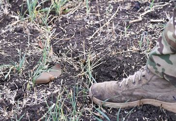 Auf dem Bild: Eine Antipersonenmine vom Typ PFM-1 auf einem Feld in der Nähe von Bachmut in der Volksrepublik Donezk, 6. September 2022. Bild: WIKTOR ANTONJUK / Sputnik