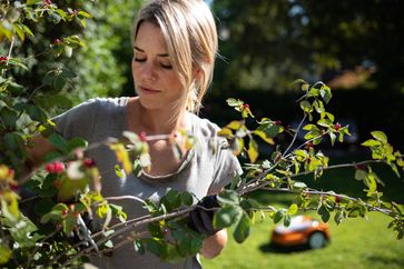 Für gut drei Viertel der Gartenbesitzerinnen und Gartenbesitzer in Deutschland ist der eigene Garten ein Ort der Entspannung und Ruhe.