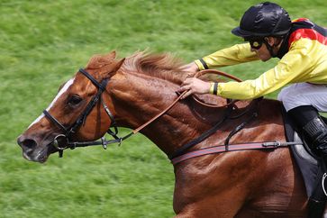 Torquator Tasso siegt unter Rene Piechulek im wettstar.de Grosser Hansa-Preis Gr. 2 am 02.07.2022 in Hamburg-Horn. Bild: marcruehl.com Fotograf: marc ruehl/marcruehl.com