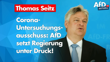 Thomas Seitz (2020)
