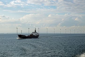 Offshore Windparks: Welche verheerenden Folgen der Infraschall und die elektromagnetischen Felder auf das Leben im Meer haben, ist wenig erforscht - gebaut wird jedoch schon fleisig (Symbolbild)