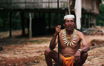 Die Matsés haben Anteilseigner von Pacific Rubiales aufgefordert, sich aus dem Konzern zurückzuziehen, um unkontaktierte Völker in Peru zu schützen.  Bild: © Survival