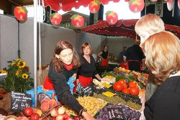 Stand auf der Biomesse 2009 in Alsfeld Bild: Dr. Klaus Röther