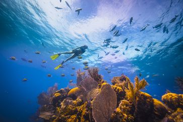 Belize  Bild: Alexandre Socci Fotograf: Belize Tourism Board