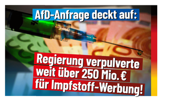 Bild: AfD Deutschland