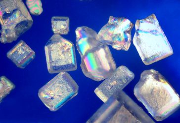 Zuckerkristalle unter dem Polarisationsmikroskop